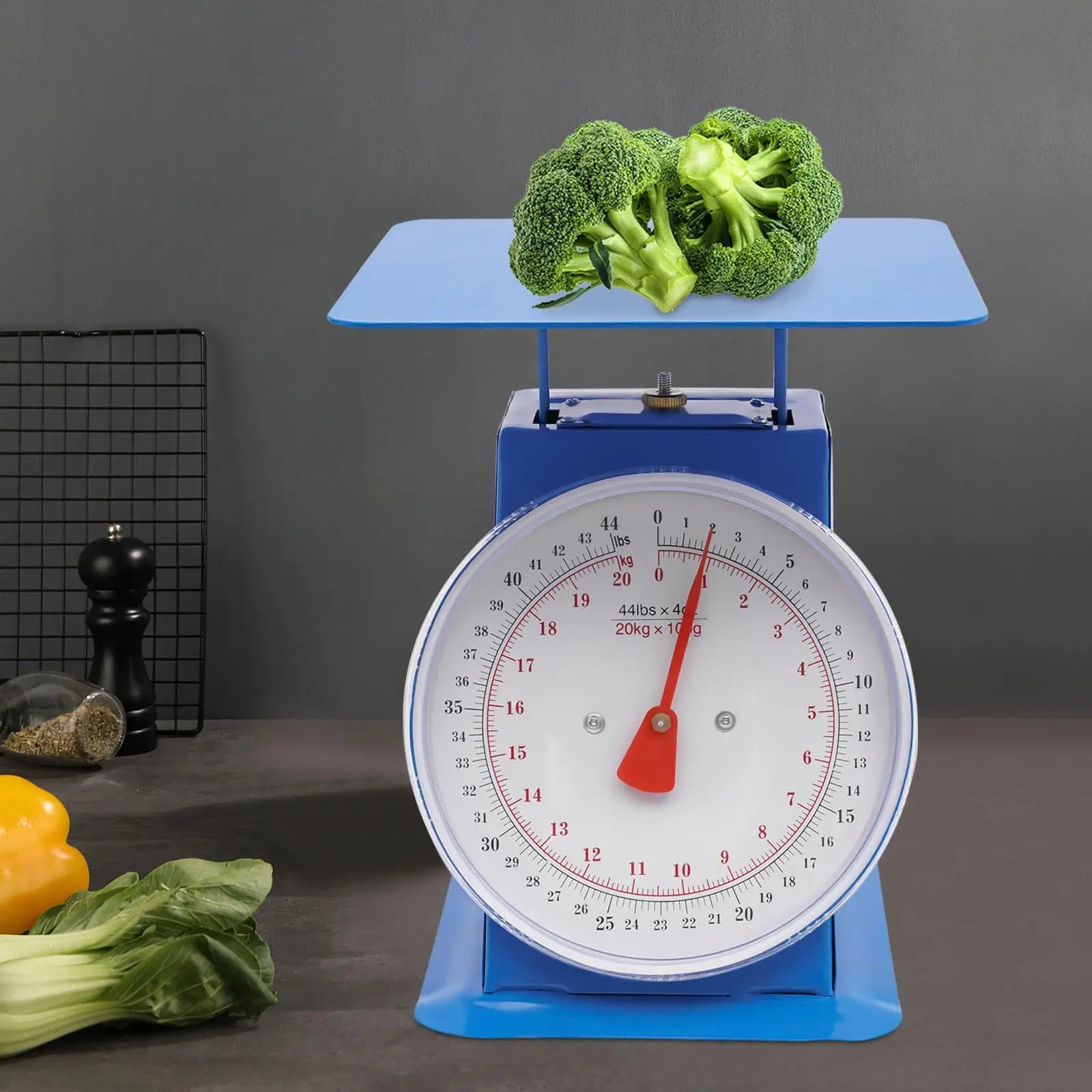 Mechanical Stainless Steel Dial Kitchen Food Scale.