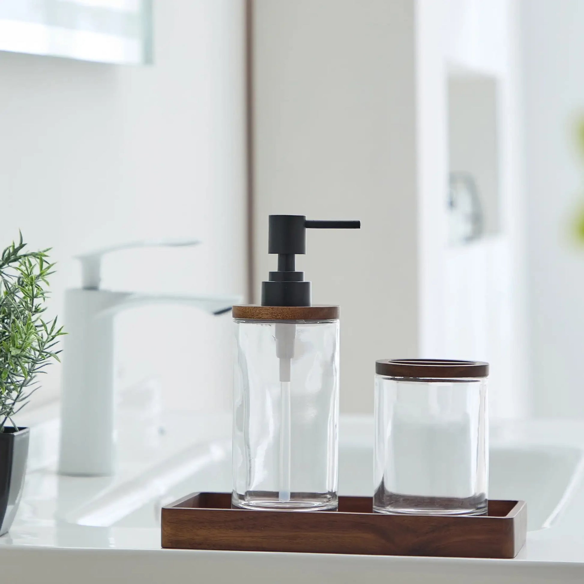 Acacia Wood and Glass Toothbrush Holder